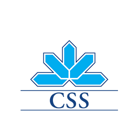 CSS